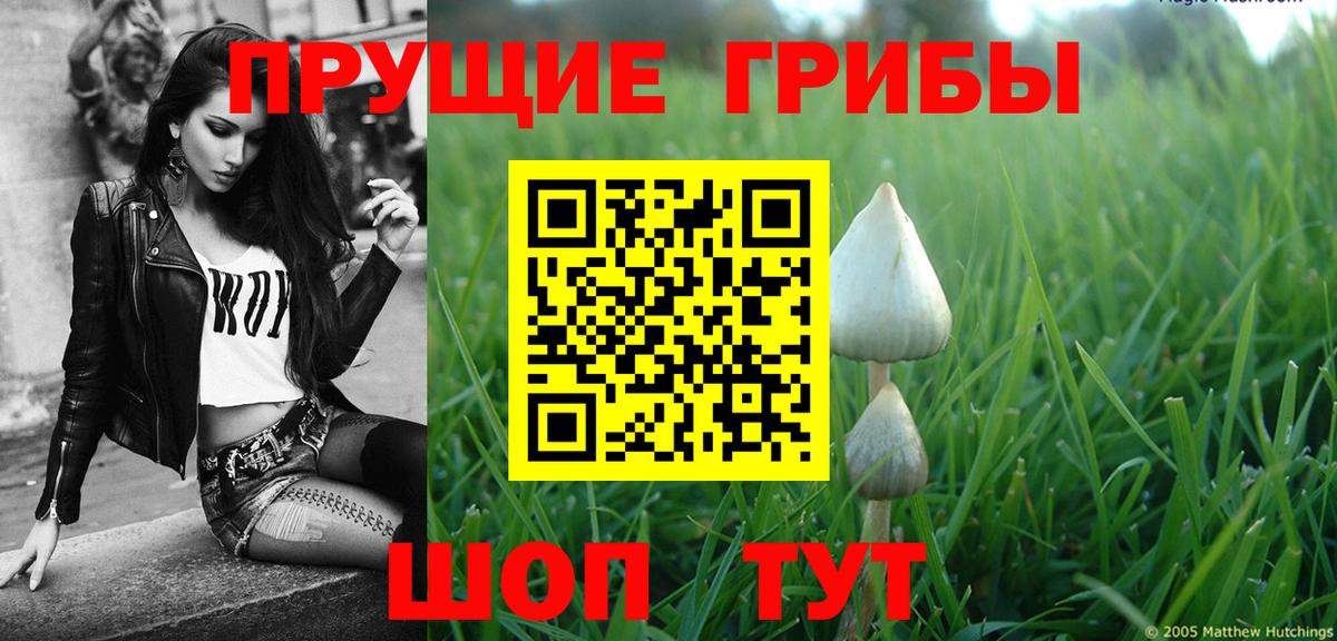 Псилоцибиновые грибы GOLDEN TEACHER Аргун
